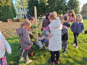 Výsadba nového sadu