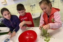IMG-20240105-WA0003