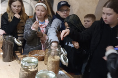 5. ročník - Chrám chmele a piva