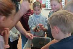IMG_20231018_091313-1200