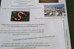 IMG_20230421_100701_1-1200