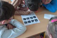 IMG-20230428-WA0012