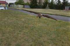 IMG-20230623-WA0003-1200