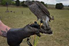 IMG-20230623-WA0007-1200