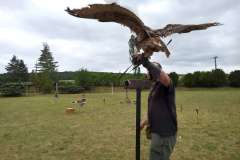IMG-20230623-WA0008-1200