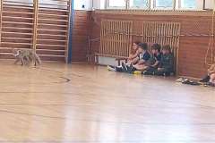 IMG-20230623-WA0012-1200