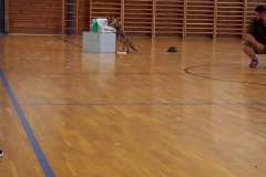 IMG-20230623-WA0013-1200