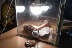 IMG_20230623_090946_1-1200