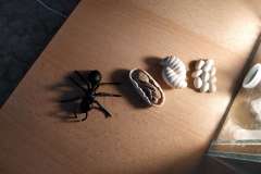 IMG_20230623_093413_1-1200