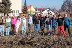 Revitalizace školního sadu