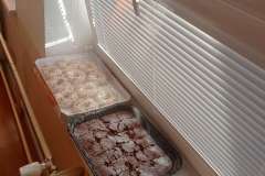 IMG_20231123_145233-1200