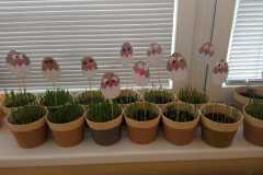 IMG-20250417-WA0059