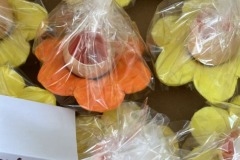 IMG-20240326-WA0007