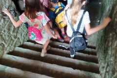 IMG-20230621-WA0022