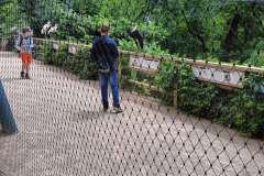 IMG-20240612-WA0001-1600